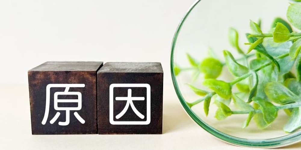 低用量ピル服用中に不正出血が起こるのはなぜ？主な6つの原因